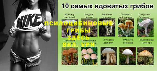 таблы Касимов