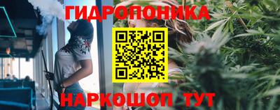 прущие крисы Балаково