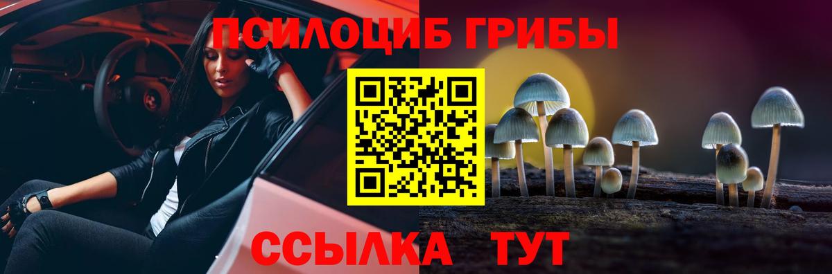 Псилоцибиновые грибы MAGIC MUSHROOMS  Великий Новгород 